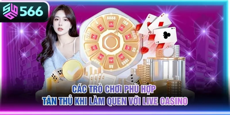 Các trò chơi phù hợp tân thủ khi làm quen với Live Casino