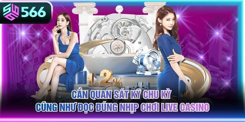 Cần quan sát kỹ chu kỳ cũng như đọc đúng nhịp chơi Live Casino