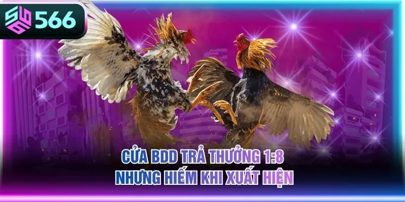 Cửa BDD trả thưởng 1:8 nhưng hiếm khi xuất hiện